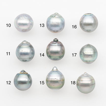 11-12mm Tahitian Pearl, Loose Undrilled with High Luster and Blemishes for Jewelry Making, SKU # 2962TH
