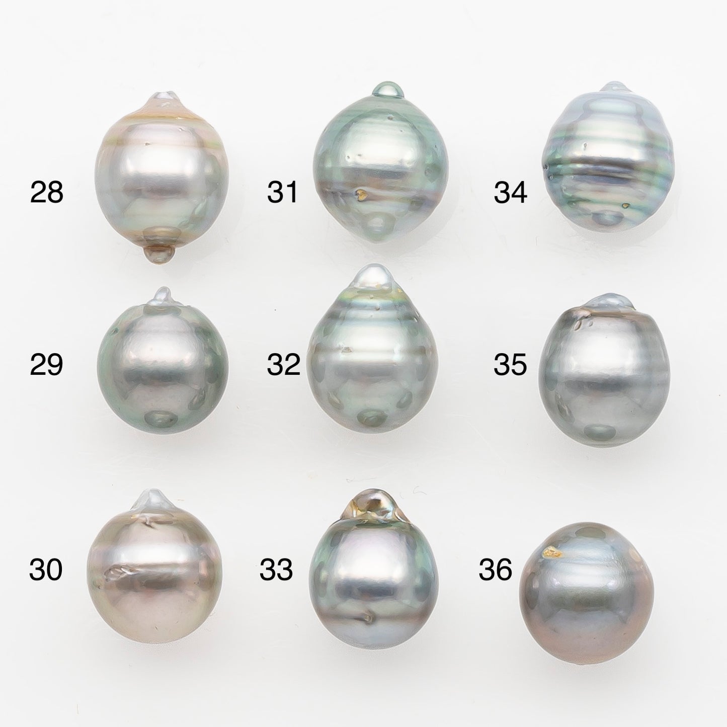 11-12mm Tahitian Pearl, Loose Undrilled with High Luster and Blemishes for Jewelry Making, SKU # 2962TH