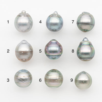 11-12mm Tahitian Pearl, Loose Undrilled with High Luster and Blemishes for Jewelry Making, SKU # 2963TH