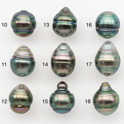 11-12mm Tahitian Pearl, Loose Undrilled with High Luster for Jewelry Making, SKU # 3100TH