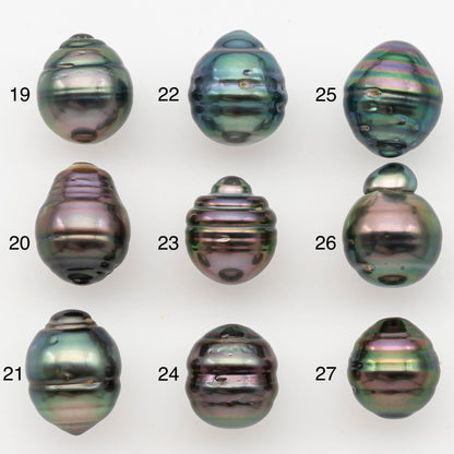 11-12mm Tahitian Pearl, Loose Undrilled with High Luster for Jewelry Making, SKU # 3100TH