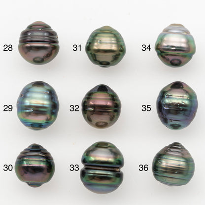 11-12mm Tahitian Pearl, Loose Undrilled with High Luster for Jewelry Making, SKU # 3100TH