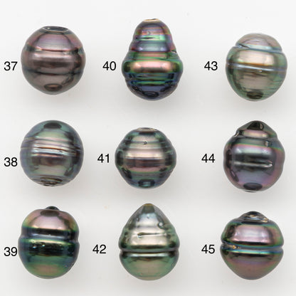 11-12mm Tahitian Pearl, Loose Undrilled with High Luster for Jewelry Making, SKU # 3100TH