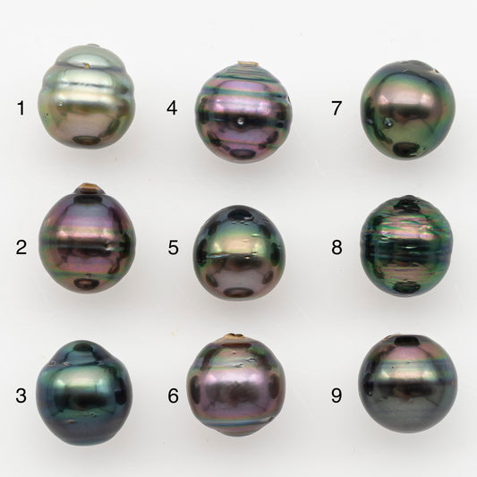 11-12mm Tahitian Pearl, Loose Undrilled with High Luster for Jewelry Making, SKU # 3101TH