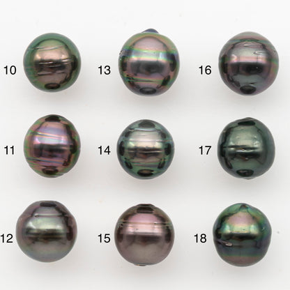 11-12mm Tahitian Pearl, Loose Undrilled with High Luster for Jewelry Making, SKU # 3101TH