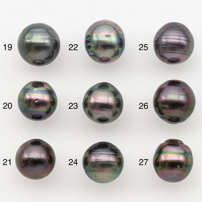 11-12mm Tahitian Pearl, Loose Undrilled with High Luster for Jewelry Making, SKU # 3101TH