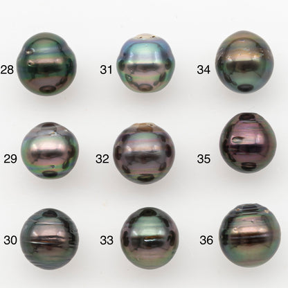 11-12mm Tahitian Pearl, Loose Undrilled with High Luster for Jewelry Making, SKU # 3101TH
