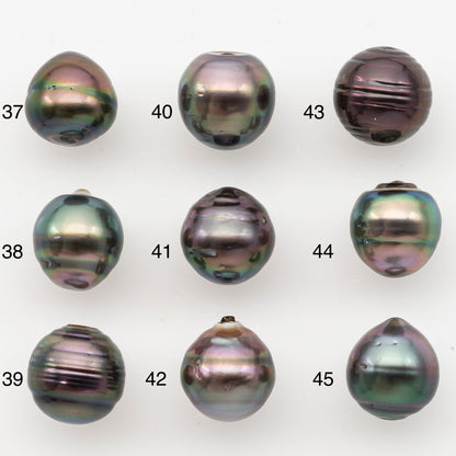 11-12mm Tahitian Pearl, Loose Undrilled with High Luster for Jewelry Making, SKU # 3101TH