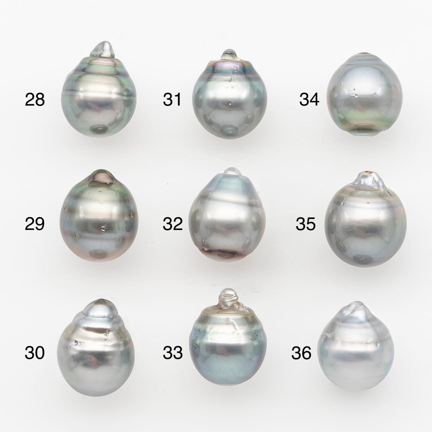 11-12mm Tahitian Pearl, Loose Undrilled with High Luster and Blemishes for Jewelry Making, SKU # 2964TH
