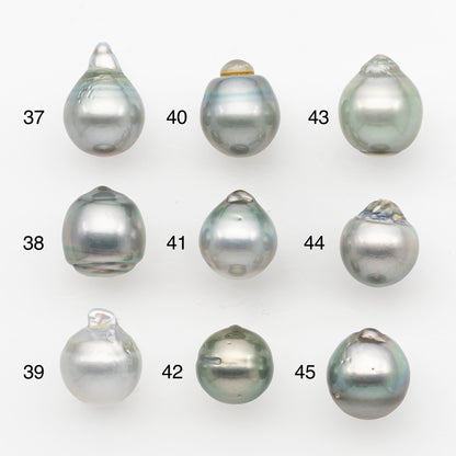 11-12mm Tahitian Pearl, Loose Undrilled with High Luster and Blemishes for Jewelry Making, SKU # 2964TH