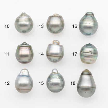 11-12mm Tahitian Pearl, Loose Undrilled with High Luster and Blemishes for Jewelry Making, SKU # 2965TH