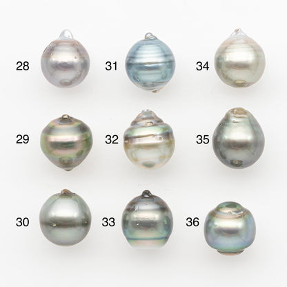11-12mm Tahitian Pearl, Loose Undrilled with High Luster and Blemishes for Jewelry Making, SKU # 2965TH