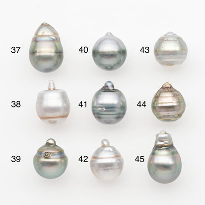 11-12mm Tahitian Pearl, Loose Undrilled with High Luster and Blemishes for Jewelry Making, SKU # 2965TH