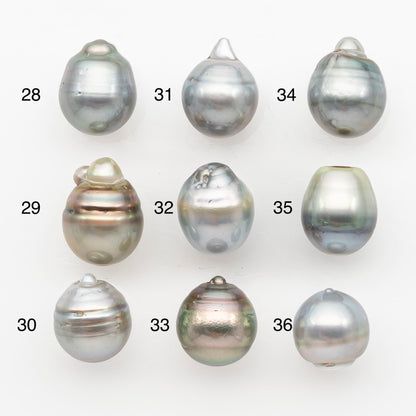 12-13mm Tahitian Pearl, Loose Undrilled with High Luster and Blemishes for Jewelry Making, SKU # 2966TH