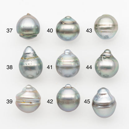 12-13mm Tahitian Pearl, Loose Undrilled with High Luster and Blemishes for Jewelry Making, SKU # 2966TH