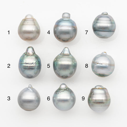 12-13mm Tahitian Pearl, Loose Undrilled with High Luster and Blemishes for Jewelry Making, SKU # 2967TH
