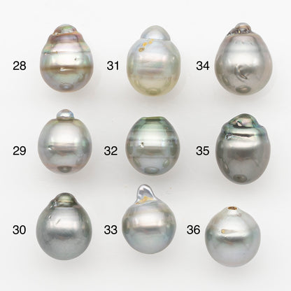 12-13mm Tahitian Pearl, Loose Undrilled with High Luster and Blemishes for Jewelry Making, SKU # 2967TH