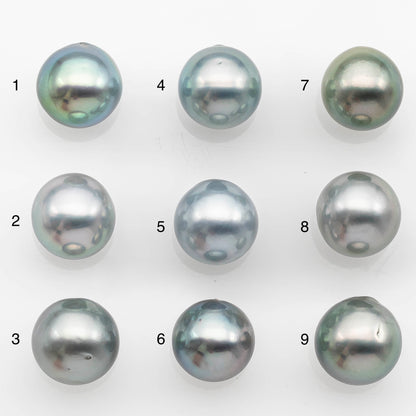 10-11mm Tahitian Pearl with High Luster and Natural Color in Silver Blue, Loose Single Piece Undrilled, SKU # 2360TH