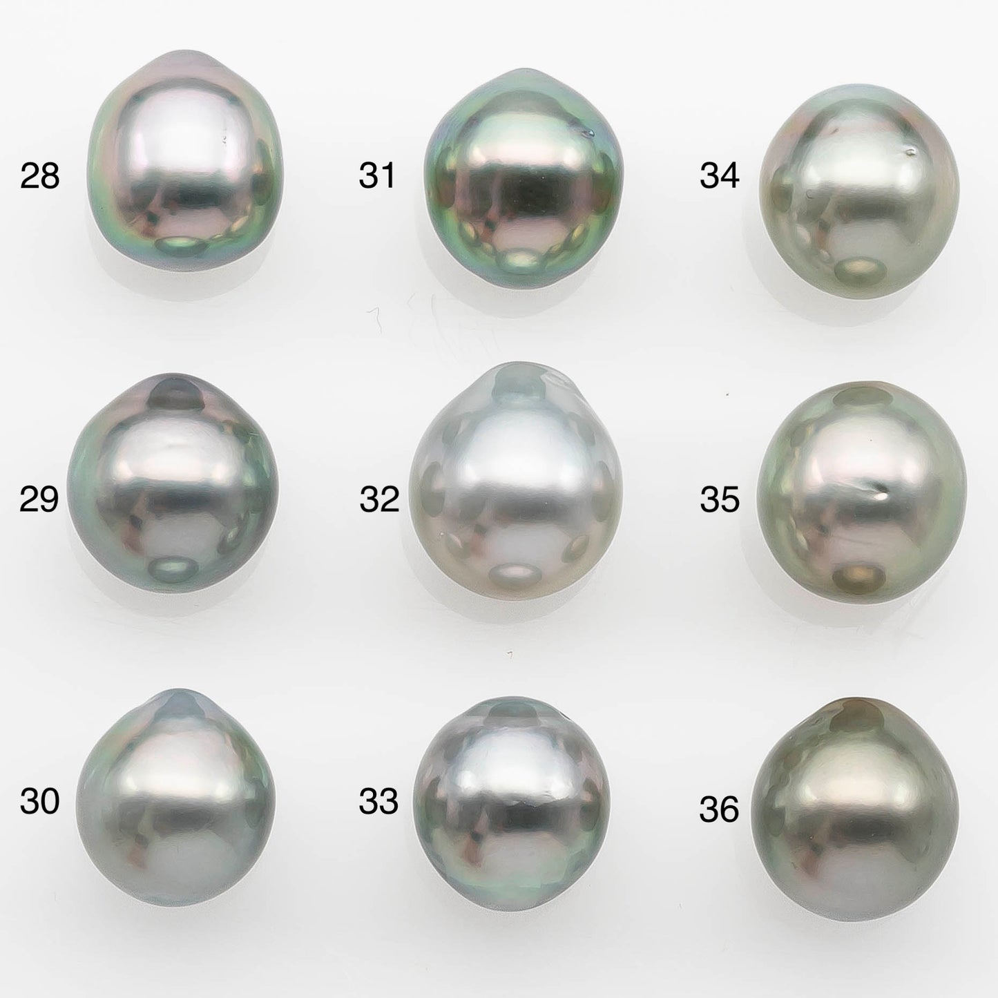 10-11mm Tahitian Pearl with High Luster and Natural Color in Silver Blue, Loose Single Piece Undrilled, SKU # 2360TH