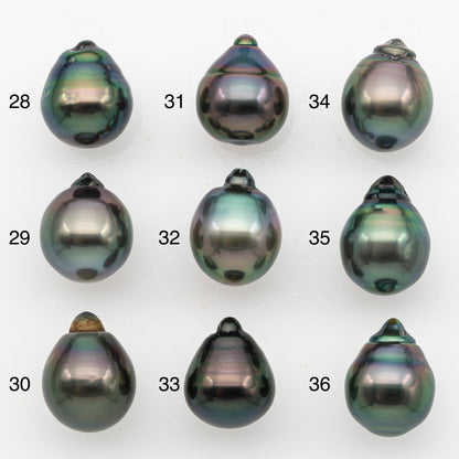 11-12mm Tahitian Pearl, Loose Undrilled with High Luster for Jewelry Making, SKU # 3125TH