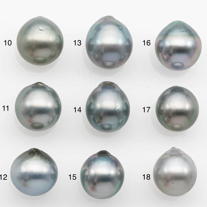 11-12mm Tahitian Pearl  with High Luster and Natural Color in Silver Blue, Loose Single Piece Undrilled, SKU # 2366TH