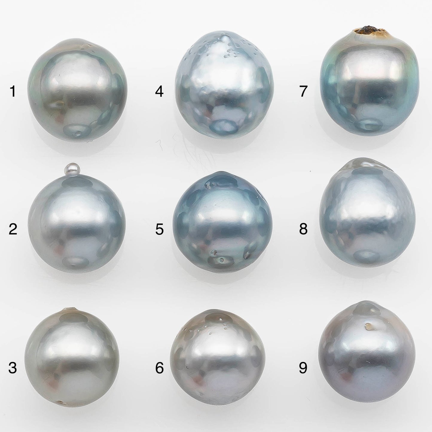 11-12mm Tahitian Pearl with High Luster and Natural Color in Silver Blue, Loose Single Piece Undrilled, SKU # 2367TH