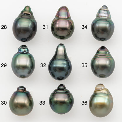 11-12mm Tahitian Pearl, Loose Undrilled with High Luster for Jewelry Making, SKU # 3126TH