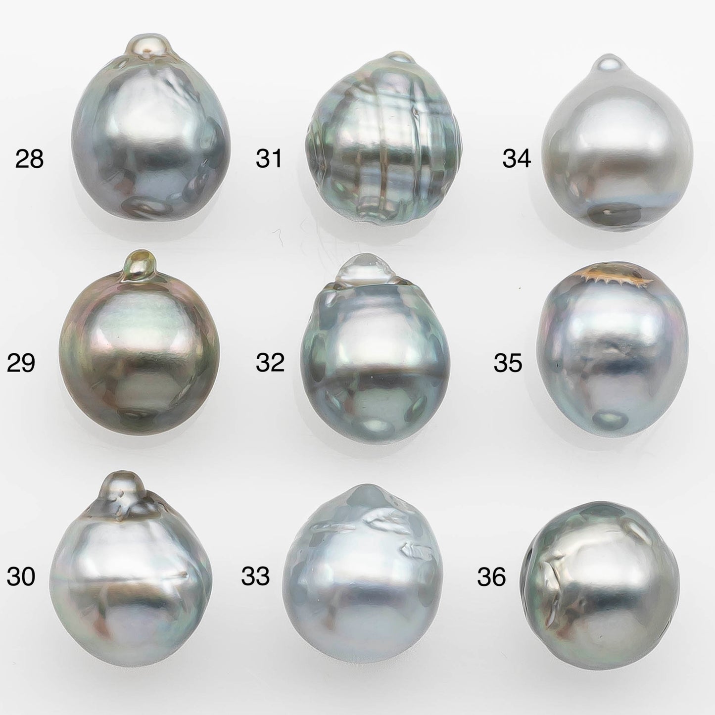 11-12mm Tahitian Pearl with High Luster and Natural Color in Silver Blue, Loose Single Piece Undrilled, SKU # 2367TH