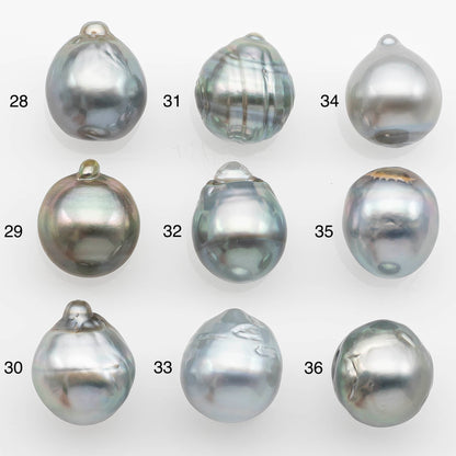 11-12mm Tahitian Pearl with High Luster and Natural Color in Silver Blue, Loose Single Piece Undrilled, SKU # 2367TH