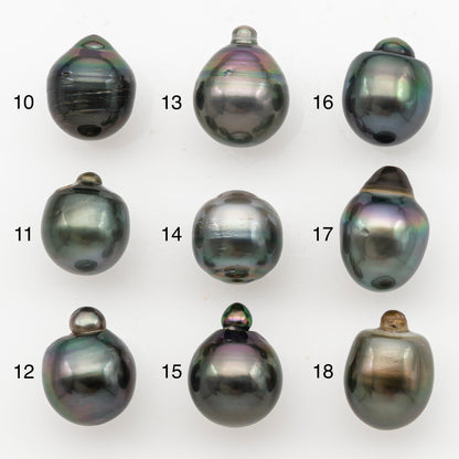 11-12mm Tahitian Pearl, Loose Undrilled with High Luster for Jewelry Making, SKU # 3127TH