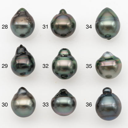 11-12mm Tahitian Pearl, Loose Undrilled with High Luster for Jewelry Making, SKU # 3127TH