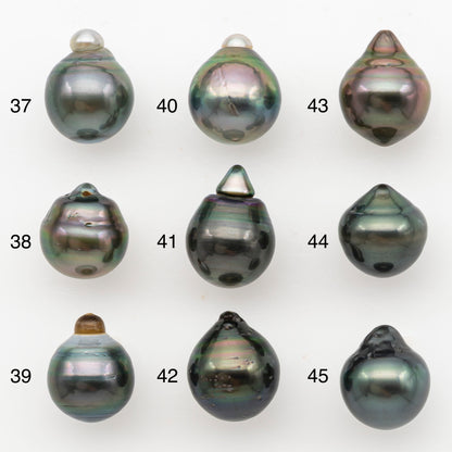 11-12mm Tahitian Pearl, Loose Undrilled with High Luster for Jewelry Making, SKU # 3127TH