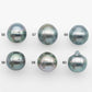 11-12mm Tahitian Pearl with High Luster and Natural Color in Silver Blue with Minor Blemishes, Loose Single Piece Undrilled, SKU # 2368TH