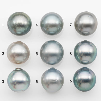 12-13mm Tahitian Pearl with High Luster and Natural Color in Silver Blue, Loose Single Piece Undrilled, SKU # 2369TH