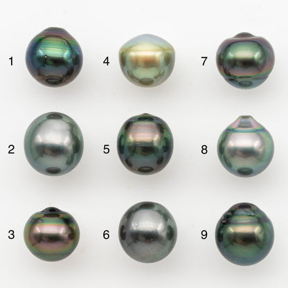 11-12mm Tahitian Pearl, Loose Undrilled with High Luster for Jewelry Making, SKU # 3128TH