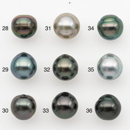 11-12mm Tahitian Pearl, Loose Undrilled with High Luster for Jewelry Making, SKU # 3128TH