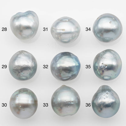 12-13mm Tahitian Pearl with High Luster and Natural Color in Silver Blue, Loose Single Piece Undrilled, SKU # 2370TH