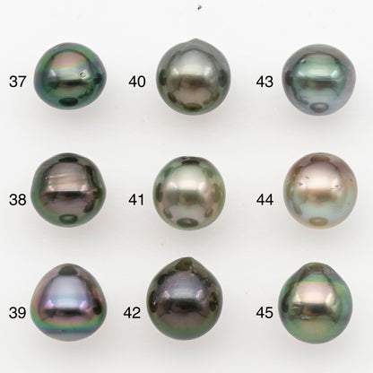 11-12mm Tahitian Pearl, Loose Undrilled with High Luster for Jewelry Making, SKU # 3128TH