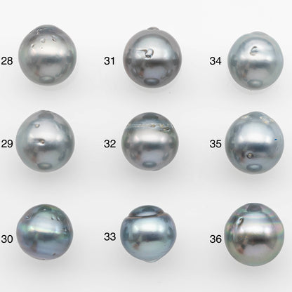 12-13mm Tahitian Pearl with High Luster and Natural Color in Silver Blue with Minor Blemishes, Loose Single Piece Undrilled, SKU # 2371TH