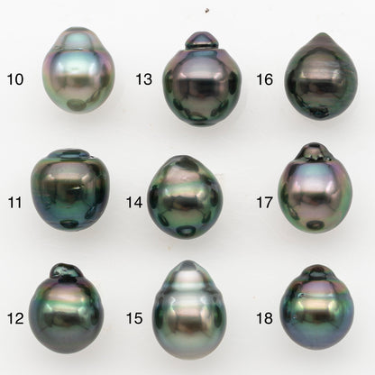 11-12mm Tahitian Pearl, Loose Undrilled with High Luster for Jewelry Making, SKU # 3129TH