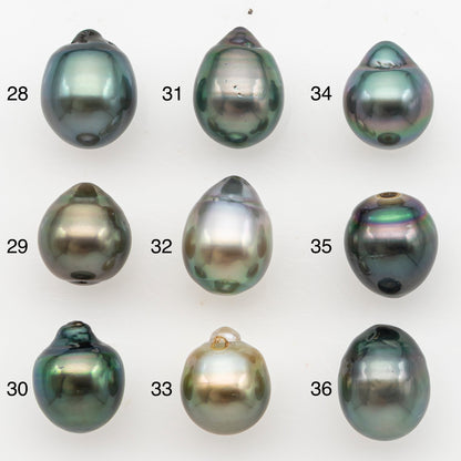 11-12mm Tahitian Pearl, Loose Undrilled with High Luster for Jewelry Making, SKU # 3129TH