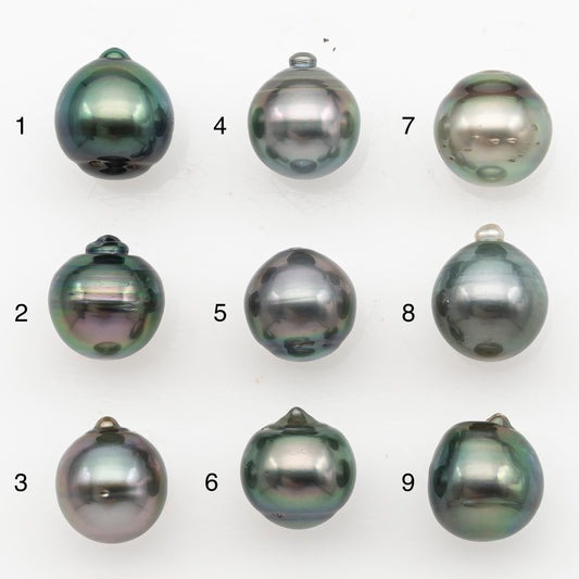 11-12mm Tahitian Pearl, Loose Undrilled with High Luster for Jewelry Making, SKU # 3131TH