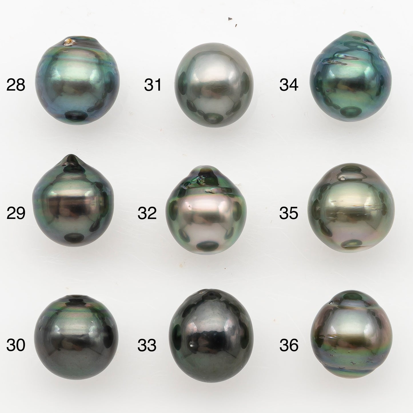 11-12mm Tahitian Pearl, Loose Undrilled with High Luster for Jewelry Making, SKU # 3131TH