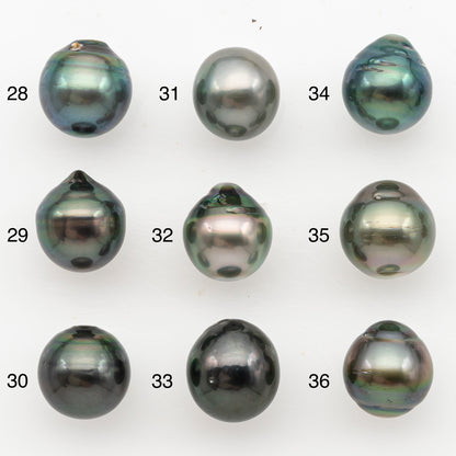 11-12mm Tahitian Pearl, Loose Undrilled with High Luster for Jewelry Making, SKU # 3131TH