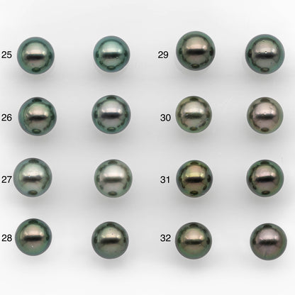 10-11mm Matching Pair Tahitian Pearl Round in Amazing Luster, Undrilled for Making Earring or Pendant, SKU # 2378TH
