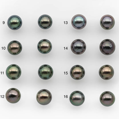10-11mm Matching Pair Tahitian Pearl Round in High Luster with Blemish, Undrilled for Making Earring or Pendant, SKU # 2379TH