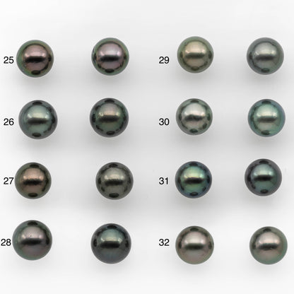 10-11mm Matching Pair Tahitian Pearl Round in High Luster with Blemish, Undrilled for Making Earring or Pendant, SKU # 2379TH
