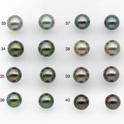 10-11mm Matching Pair Tahitian Pearl Round in High Luster with Blemish, Undrilled for Making Earring or Pendant, SKU # 2379TH