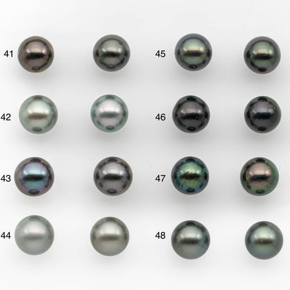 10-11mm Matching Pair Tahitian Pearl Round in High Luster with Blemish, Undrilled for Making Earring or Pendant, SKU # 2379TH
