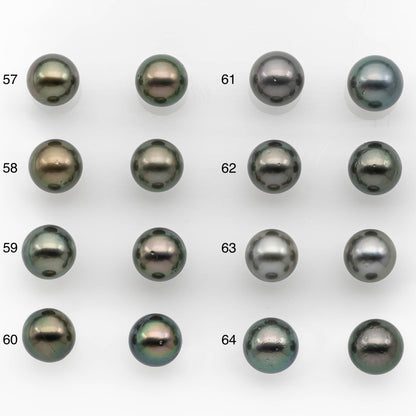 10-11mm Matching Pair Tahitian Pearl Round in High Luster with Blemish, Undrilled for Making Earring or Pendant, SKU # 2379TH